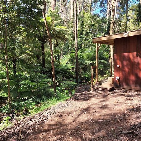 The Fernglen Forest Retreat Mount Dandenong Luaran gambar