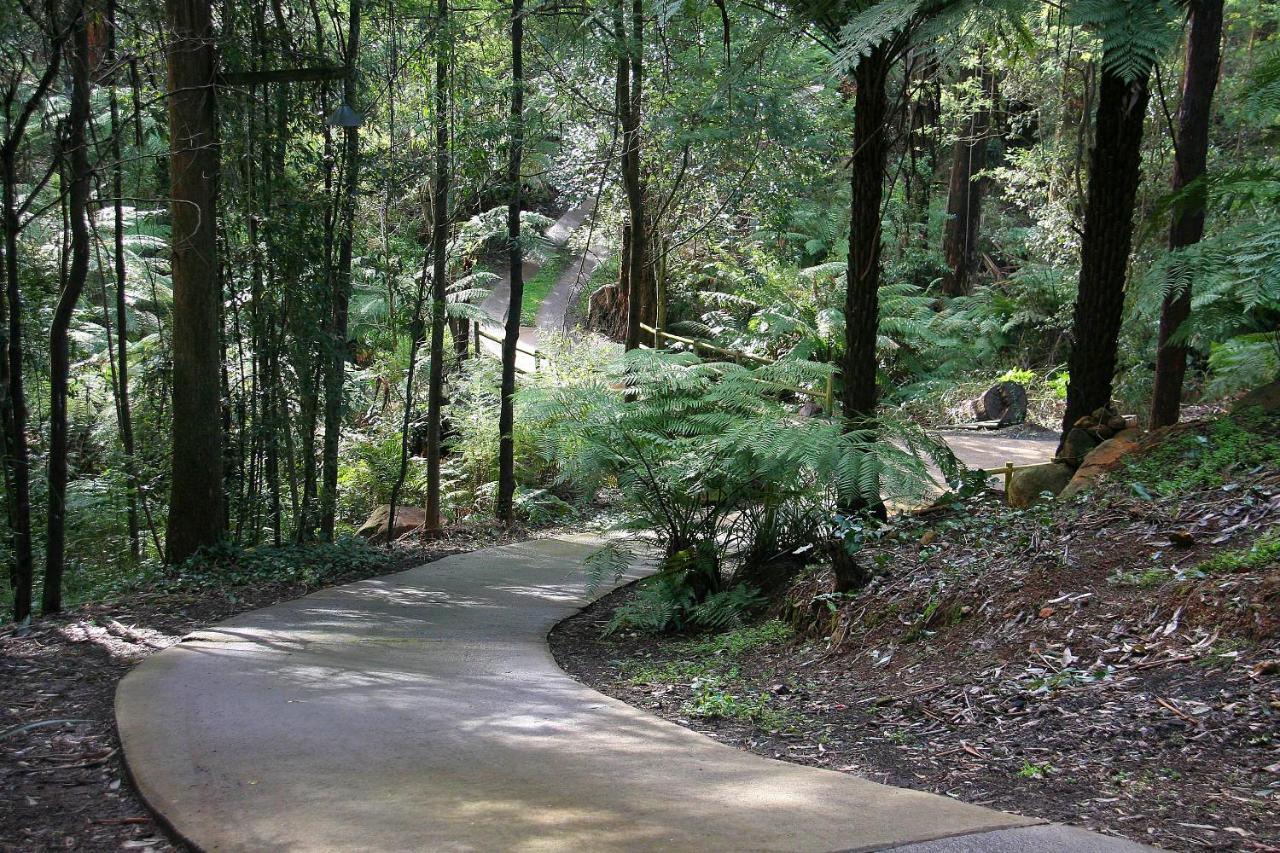 The Fernglen Forest Retreat Mount Dandenong Luaran gambar