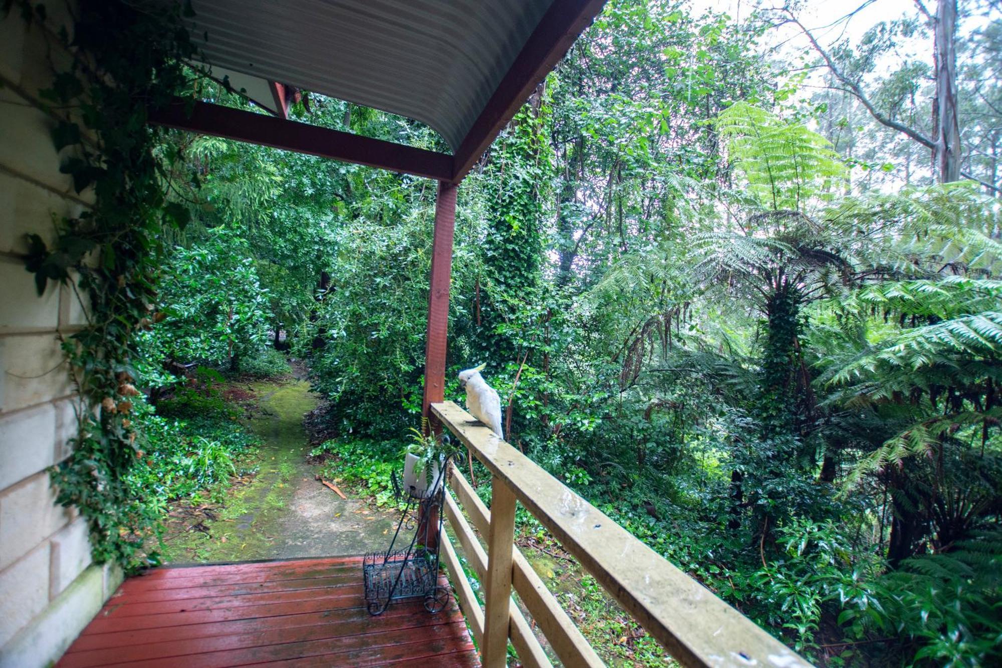 The Fernglen Forest Retreat Mount Dandenong Luaran gambar