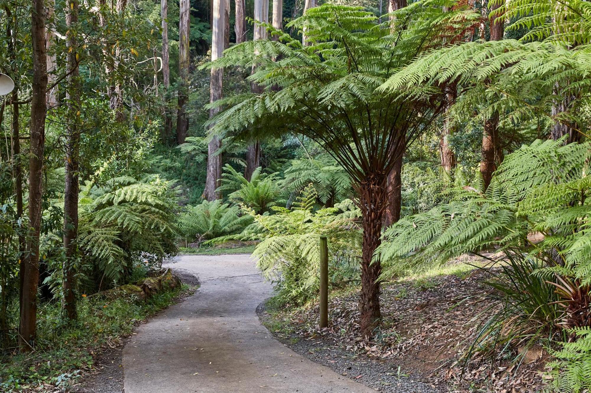 The Fernglen Forest Retreat Mount Dandenong Luaran gambar