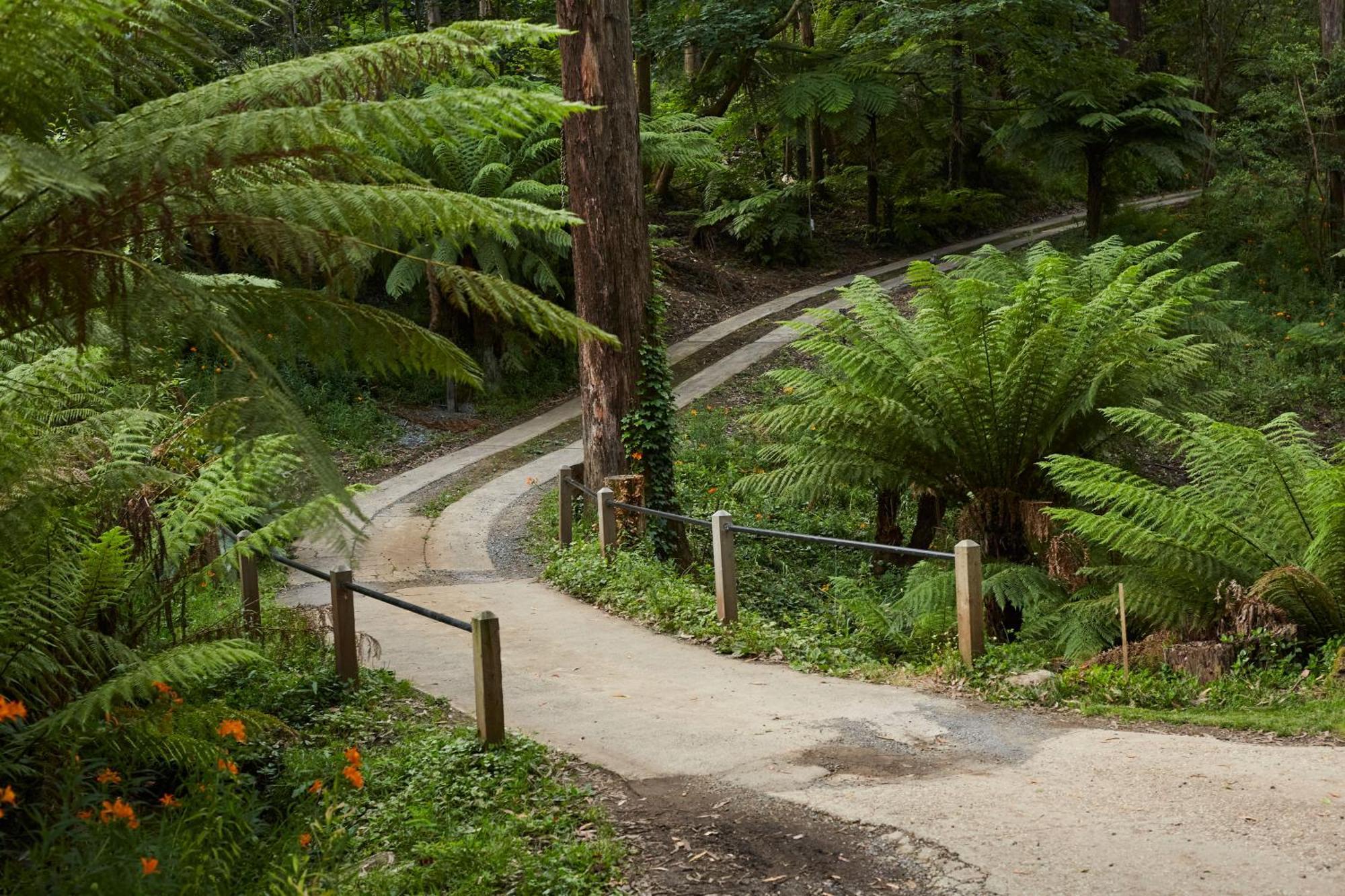 The Fernglen Forest Retreat Mount Dandenong Luaran gambar