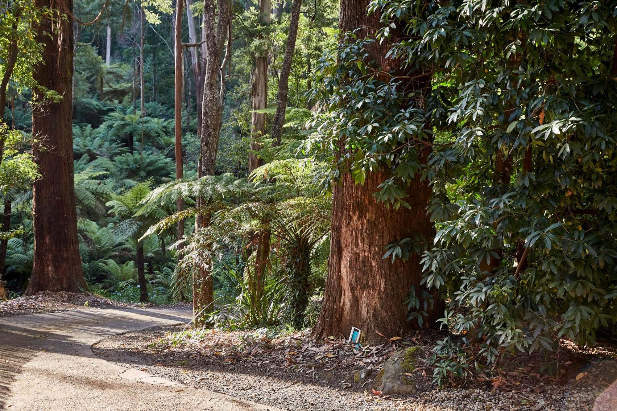 The Fernglen Forest Retreat Mount Dandenong Luaran gambar